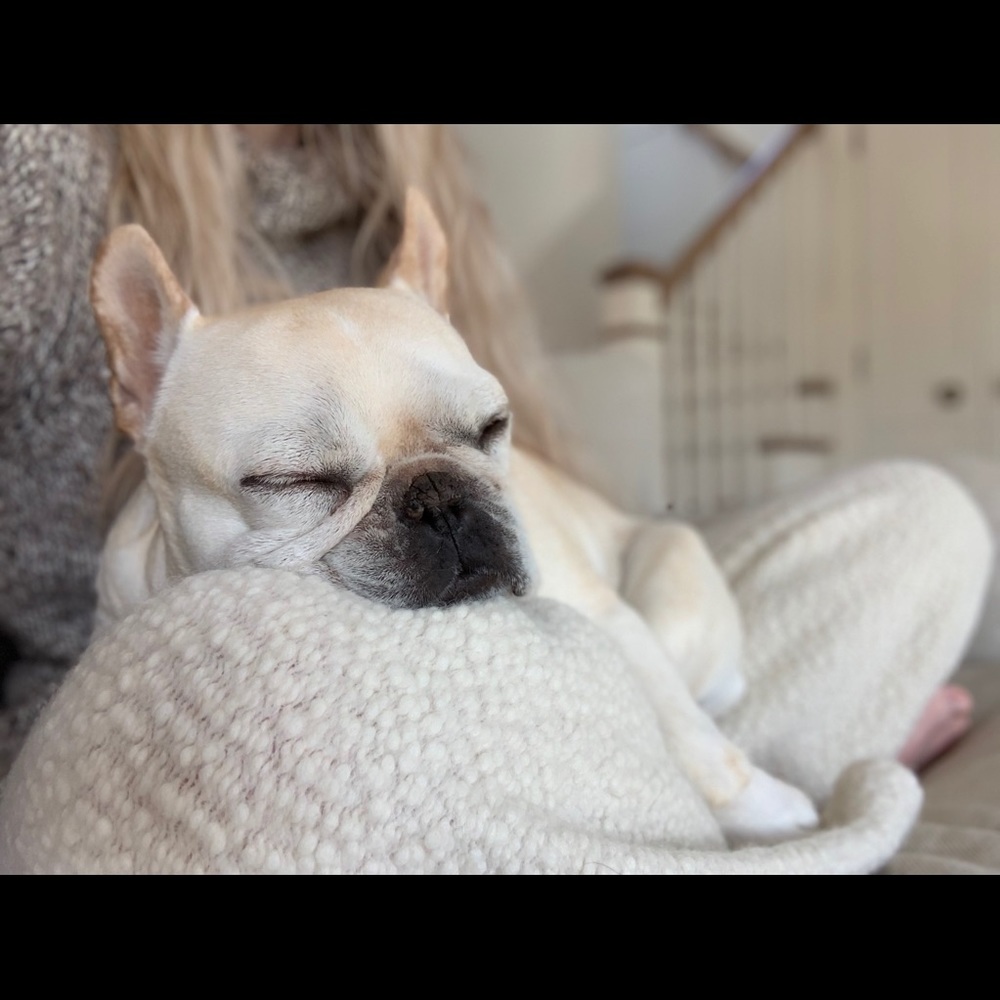 Meet your Posher, Heather